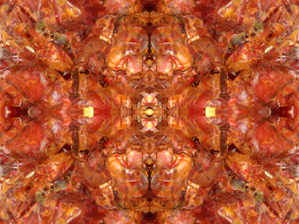 Similar image 22623216