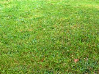 Similar image 22623221