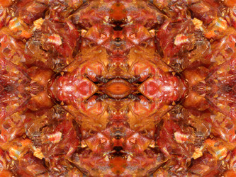 Similar image 22623248