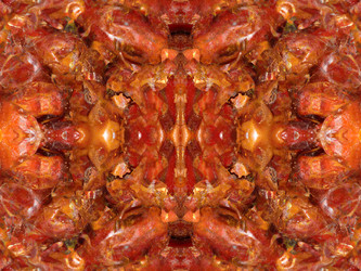 Similar image 22623253