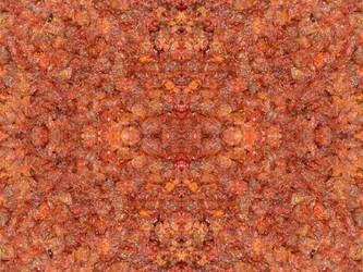 Similar image 22635052