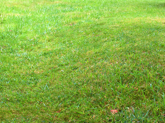 Similar image 22629484