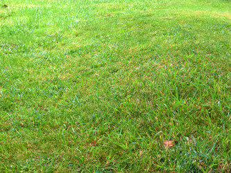 Similar image 22631950