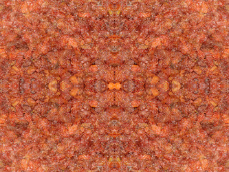 Similar image 22631804