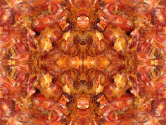 Similar image 22619384