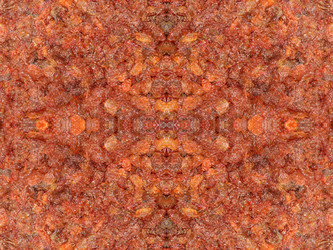 Similar image 22619385