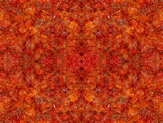 Similar image 22629453