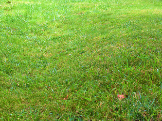 Similar image 22623109