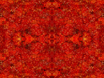 Similar image 22623110