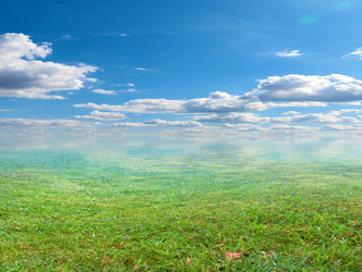 Similar image 22619391