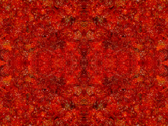 Similar image 22629456