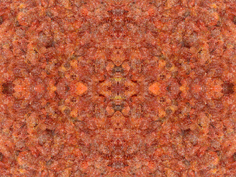 Similar image 22629458