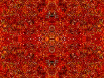 Similar image 22629459