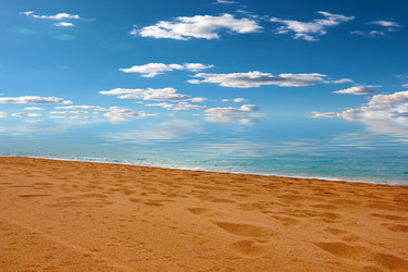 Similar image 22634752