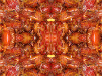 Similar image 22629462