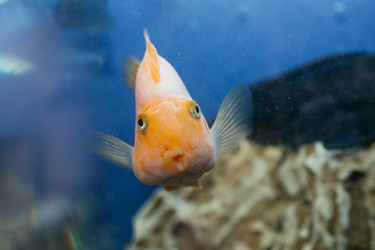 Similar image 22632334