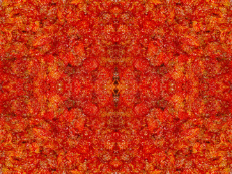 Similar image 22623123