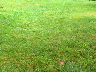 Similar image 22623125