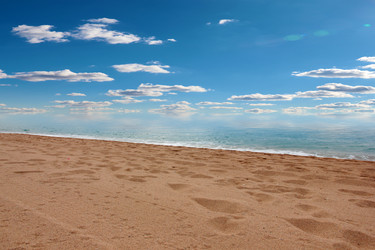 Similar image 22623137