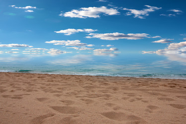 Similar image 22623142