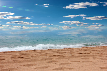 Similar image 22623151