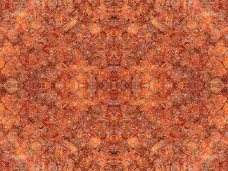 Similar image 22623157