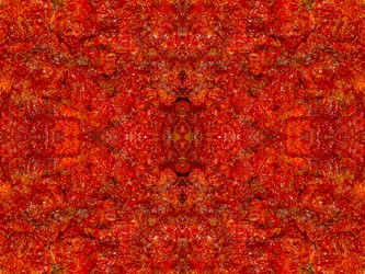 Similar image 22623161