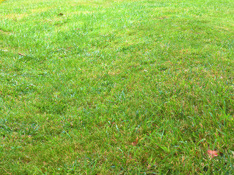 Similar image 22634842