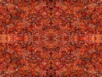 Similar image 22623165