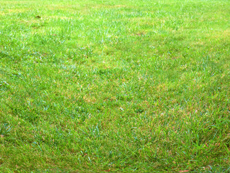 Similar image 22623167