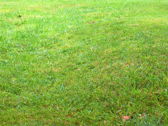 Similar image 22623169