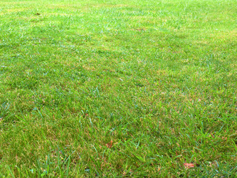 Similar image 22629476