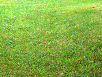 Similar image 22623181