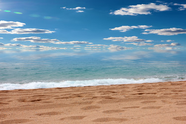 Similar image 22623184