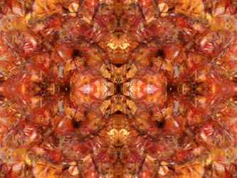 Similar image 22629477