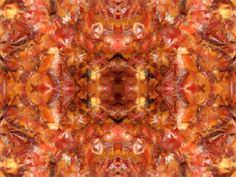 Similar image 22629480