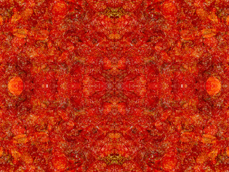 Similar image 22629481