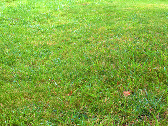 Similar image 22623213