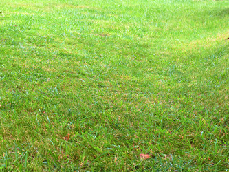 Similar image 22634962