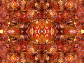 Similar image 22623225