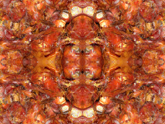 Similar image 22623228