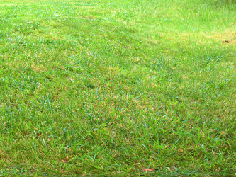 Similar image 22634993