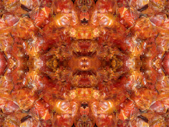 Similar image 22635008