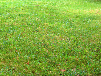 Similar image 22623245