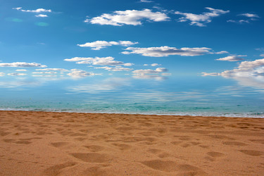 Similar image 22619409