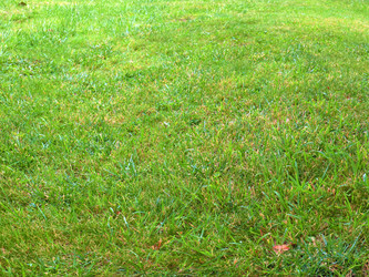 Similar image 22619416