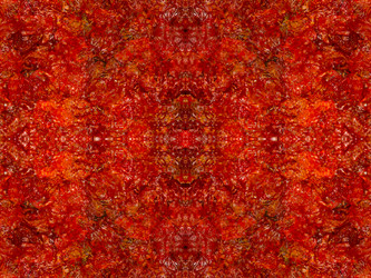 Similar image 22623260