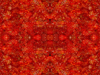 Similar image 22623262