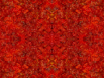 Similar image 22623263