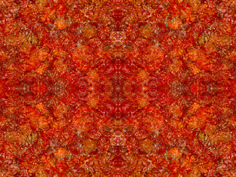 Similar image 22623264